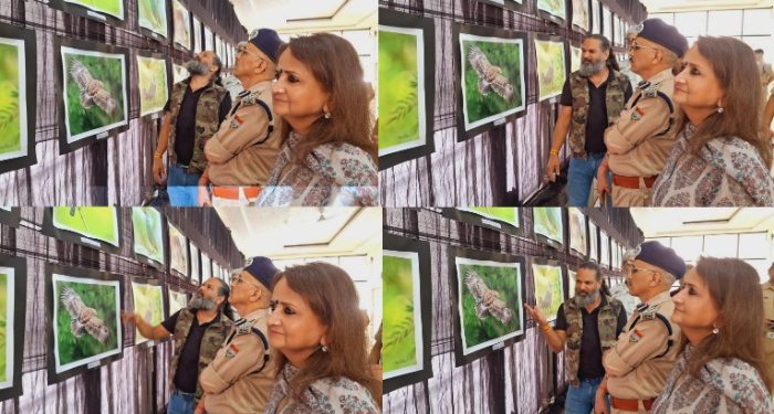 बड़ी खबर: धैर्य और तकनीक का अद्भुत मिश्रण है वाइल्ड लाइफ फोटोग्राफी – पुशोला