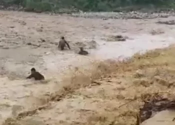 वीडियो: तमाम चेतवानियों के बावजूद नही मान रहे लोग, यहां जान जोखिम में डाल रहें हैं, देखें वीडियो..