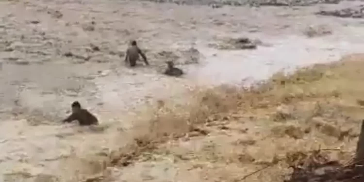 वीडियो: तमाम चेतवानियों के बावजूद नही मान रहे लोग, यहां जान जोखिम में डाल रहें हैं, देखें वीडियो..