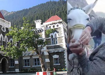 हाईकोर्ट ब्रेकिंग: चारधाम यात्रा में हुए पशु क्रूरता मामले में सुनवाई। अब इन नियमों का करना होगा पालन