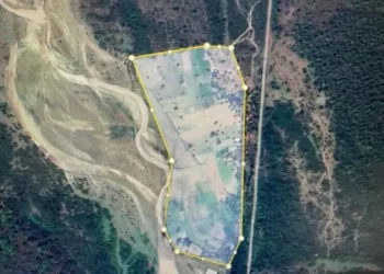 गजब: यहां गुज्जरों ने जगलों में 38 एकड़ में कर डाली खेती, सोता रहा वन विभाग..