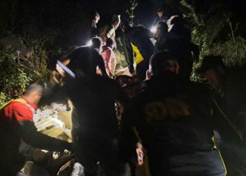 दुर्घटना : चंपावत में देर रात  यहां वाहन  गिरा खाई में