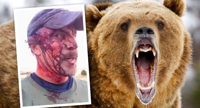 दुखद : उत्तराखंड में यहां जंगल में लकड़ी लेने व्यक्ति पर भालू ने किया हमला, बुरी तरह किया घायल