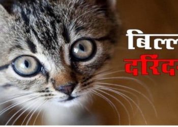 शर्मनाक : उत्तराखंड में यहां किरायेदार बिल्ली के साथ कर रहा था दरिंदगी, मकान मालकिन ने पकड़ा ।