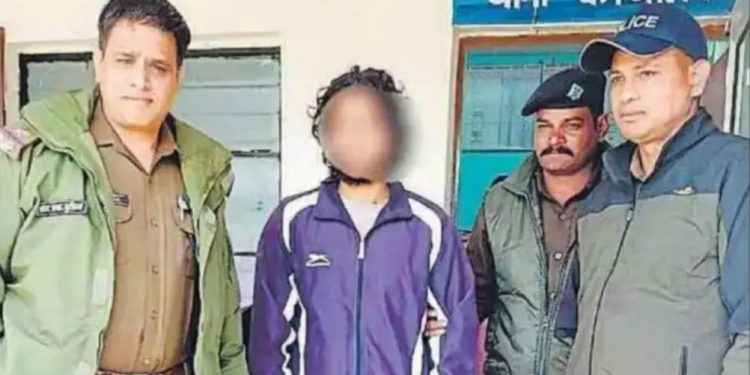 दुखद: मां कहती थी नौकरी पर जाने को, बेटे ने डंडे से कर दी मां की हत्या