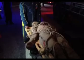 हादसा: उत्तराखंड में यहां वाहन गिरा गहरी खाई में, चालक गंभीर रूप से घायल।