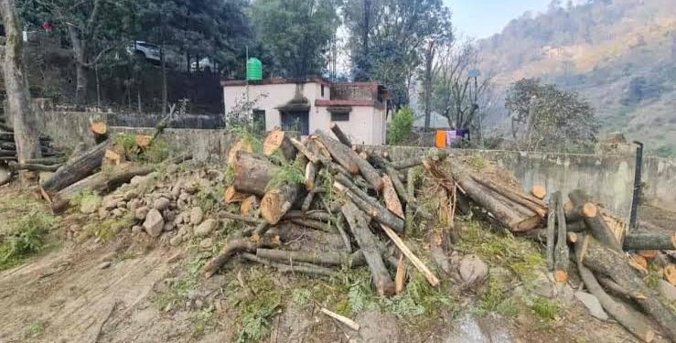 आक्रोश : सीएम के दौरे के लिए रातों-रात काट दिए हरे पेड़, गुसाई महिलाओं ने भी लगाए गंभीर आरोप