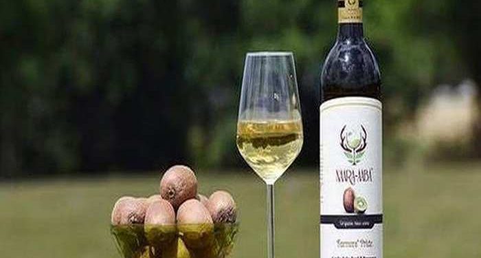 बड़ी खबर: नई आबकारी नीति के तहत पहाड़ी फलों से बनेगी मेट्रो मदिरा, पढ़े पूरी खबर..