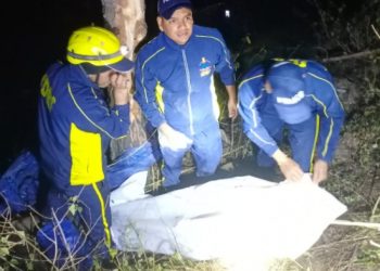  दुखद:  खाई में गहरी खाई में  गिरा वाहन, 8 की मौत, 2 घायल 