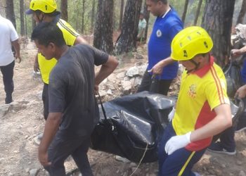 हादसा: यहां चारा काटने पेड़ पर चढ़ी महिला आई हाइटेंशन लाइन की चपेट में, मौत..