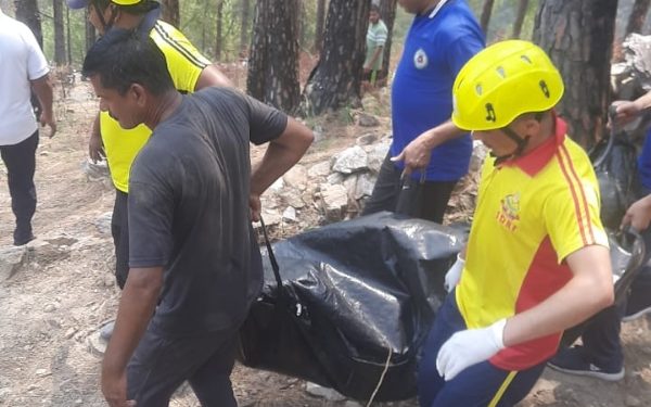 हादसा: यहां चारा काटने पेड़ पर चढ़ी महिला आई हाइटेंशन लाइन की चपेट में, मौत..