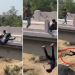 वीडियो: जमकर मारपीट का वीडियो वायरल, पुल से नीचे गिरा युवक, देखें वीडियो….