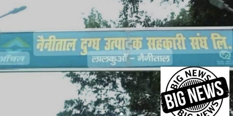 बड़ी खबर: नैनीताल दुग्ध संघ के पूर्व प्रबंधक पर, भ्रष्टाचार के तहत बड़े एक्शन की तैयारी..