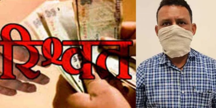 बिग ब्रेकिंग: 50,000 हजार की रिश्वत लेते, लघु सिंचाई खण्ड का अधिशासी अभियंता गिरफ्तार..