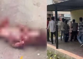 इंसानियत शर्मसार: यहां 7 माह का मानव भ्रूण कुत्ता मुंह में दबाए घूम रहा रहा था, मचा हड़कंप..