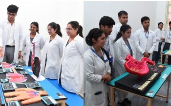 बड़ी खबर: मॉडल व पोस्टर के जरिये रोग संबंधी अवधारणा को दर्शाया
