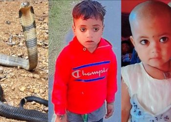 सावधान: यहां सांप ने मासूम भाई बहन को डसा, इलाज के दौरान दोनों की मौत..
