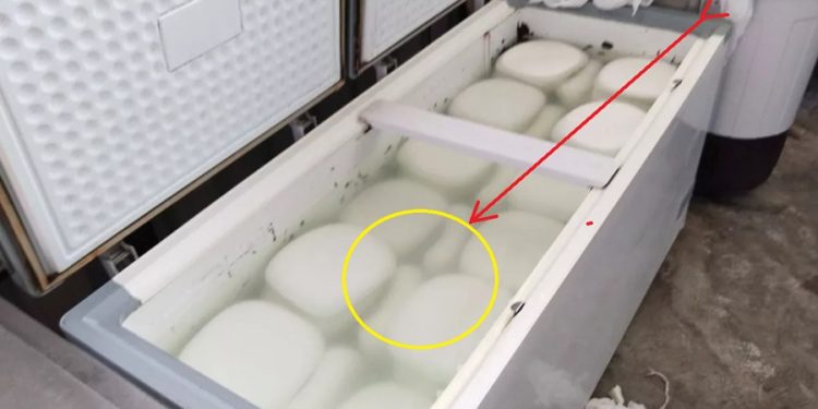 एक्सक्लूसिव: रायवाला में FDA की छापेमारी, पनीर के नाम पर बन रहा था जहर..