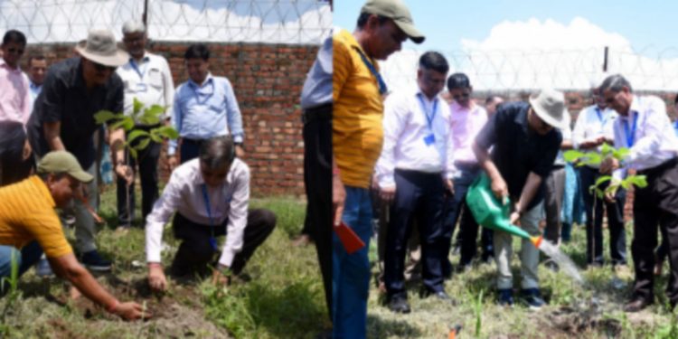 बड़ी खबर:स्वामी राम हिमालयन विश्वविद्यालय जौलीग्रांट में मनाया गया ‘हरेला पर्व’