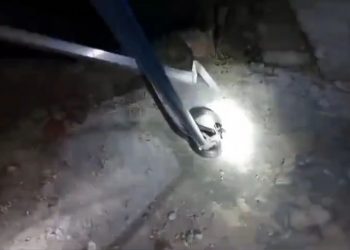 दुःखद: सांप के काटने से मासूम की मौत