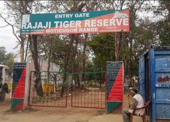 बड़ी खबर: राजाजी टाइगर रिजर्व के निदेशक को पद से हटाने के आदेश