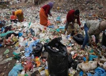 बड़ी खबर: खुले में कूड़ा डालने वालों पर नगर निगम की नजर,  लगाए एक दर्जन से ज्‍यादा कैमरे