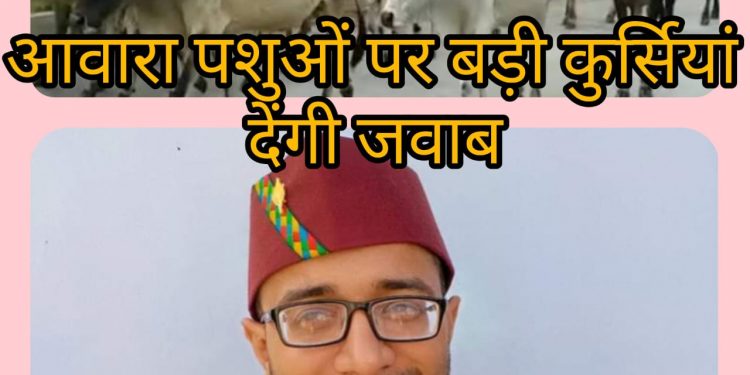 मानवाधिकार आयोग की सख्त कार्रवाई:-आवारा पशुओं को लेकर बड़ी कुर्सियां देंगी जवाब,जागरूक युवा की पहल का असर*