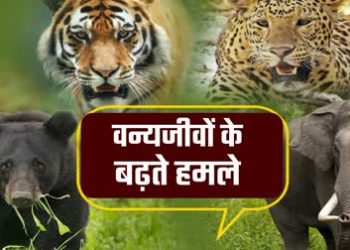 प्रदेश में वन्यजीव संघर्ष की घटनाओं से जुड़ा रहा है. पिछले 24 सालों के दौरान 7000 से ज्यादा हमले किए गए रिकॉर्ड