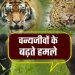 प्रदेश में वन्यजीव संघर्ष की घटनाओं से जुड़ा रहा है. पिछले 24 सालों के दौरान 7000 से ज्यादा हमले किए गए रिकॉर्ड