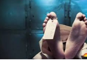 हादसा: आपस में टकराई 6 गाड़िया,एक की मौत