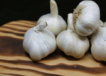 हेल्थ न्यूज: 15 दिन रोज कच्चा लहसुन खाने से क्या होता है? जानकर आप भी डेली करने लगेंगे सेवन