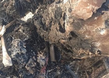 चमोली में दिल दहला देने वाली वारदात, महिला की जली लाश मिलने से सनसनी