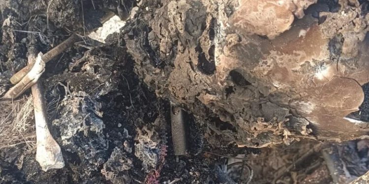 चमोली में दिल दहला देने वाली वारदात, महिला की जली लाश मिलने से सनसनी