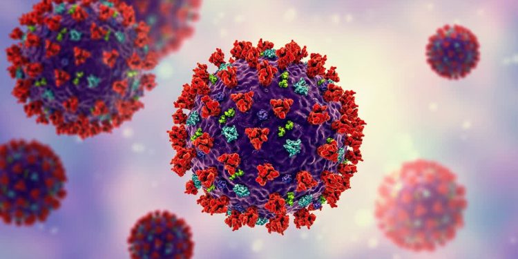 बड़ी खबर: गुजरात से आई महिला और बेंगलुरु के डॉक्टर में उत्तराखंड में कोरोना की पुष्टि