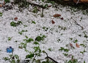 भयंकर ओलावृष्टि से यमुनाघाटी के किसानों की मेहनत पर फिरा पानी