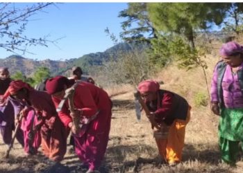 मनरेगा घोटाला: मर चुकी महिला के नाम पर 12 दिन की दिहाड़ी, डिजिटल हाजिरी से खुला राज