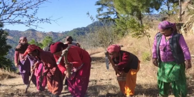 मनरेगा घोटाला: मर चुकी महिला के नाम पर 12 दिन की दिहाड़ी, डिजिटल हाजिरी से खुला राज