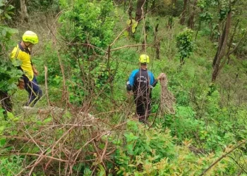हादसा:  गहरी खाई में समाया टेंपो ट्रैवलर, SDRF ने चलाया रेस्क्यू ऑपरेशन