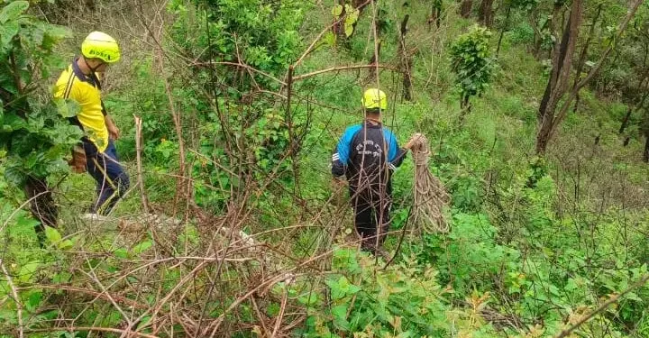 हादसा:  गहरी खाई में समाया टेंपो ट्रैवलर, SDRF ने चलाया रेस्क्यू ऑपरेशन