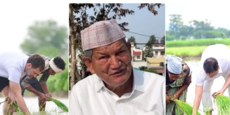 “धामी बोले- राहुल गांधी से क्या सीखें? हरीश रावत भी नहीं करेंगे अनुसरण”