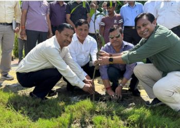 सीएम की मुहिम में वीसी की महत्वपूर्ण भूमिका….. हरेला पर्व पर MDDA की हरित पहल : 60,000 पौधों के रोपण और वितरण का लिया संकल्प