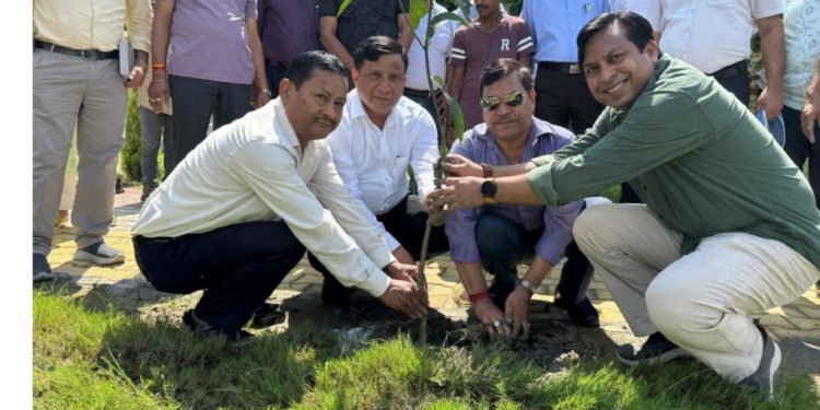 सीएम की मुहिम में वीसी की महत्वपूर्ण भूमिका….. हरेला पर्व पर MDDA की हरित पहल : 60,000 पौधों के रोपण और वितरण का लिया संकल्प