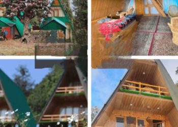 मुनस्यारी ईको टूरिज्म में 1.63 करोड़ का घोटाला, मंत्री के दामाद आईएफएस अफसर पर CBI-ED जांच की तलवार