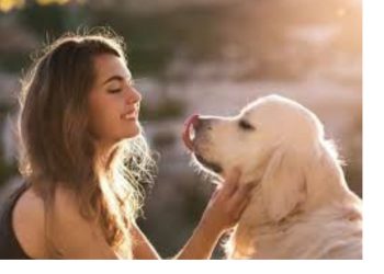 देहरादून नगर निगम का नया फरमान: पालतू कुत्तों के लिए सख्त नियम, ₹5000 तक जुर्माना