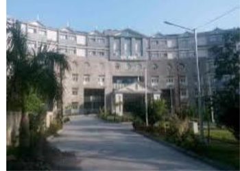 Uttarakhand Exclusive: मसूरी फॉरेस्ट डिवीजन से 7 हजार से ज्यादा पिलर गायब, विभाग सवालों के घेरे में