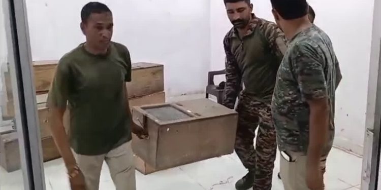 बड़ी खबर: छापेमारी में उजागर हुआ अवैध सांपों का कारोबार