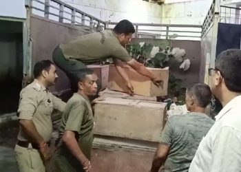 उत्तराखंड में अवैध वेनम कारोबार का खुलासा, मेनका गांधी के पत्र से वन विभाग में मची खलबली