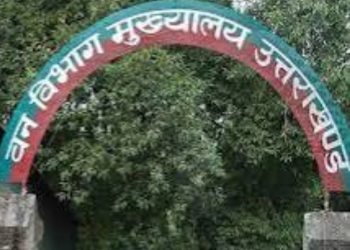 केंद्र सरकार सख्त, मसूरी फॉरेस्ट डिवीजन के गायब पिलरों पर मांगी रिपोर्ट