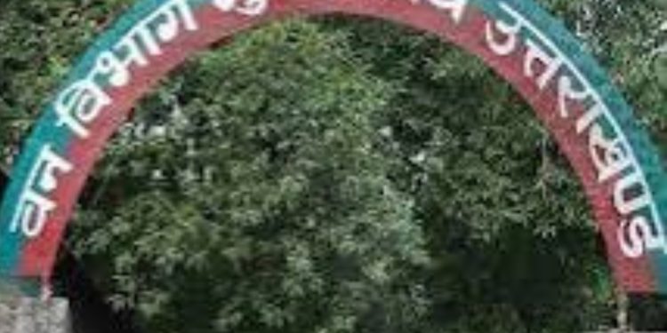 केंद्र सरकार सख्त, मसूरी फॉरेस्ट डिवीजन के गायब पिलरों पर मांगी रिपोर्ट