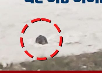 विशाल हाथियों को बहा ले गई कोसी नदी, ग्रामीणों ने बनाया वीडियो – जानें पूरा मामला